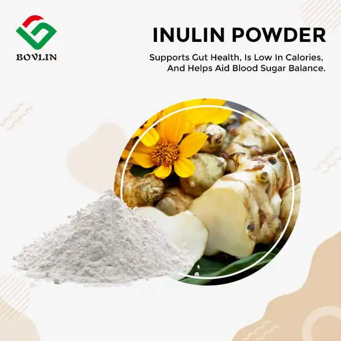 Bulk Inulin Powder